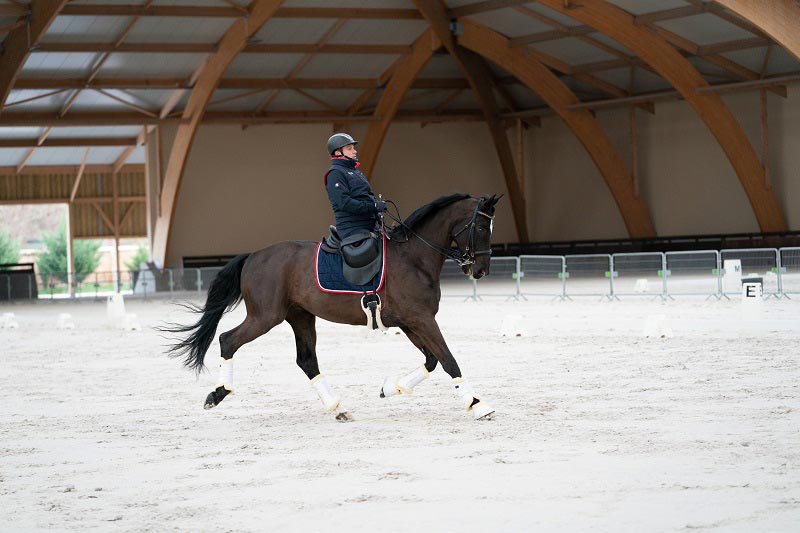  Vladimir Vinchon dressage