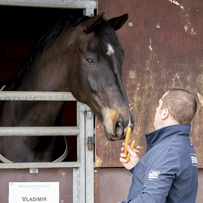  Vladimir Vinchon box cheval