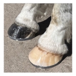 Fer plastique Easyshoe 3D antérieur