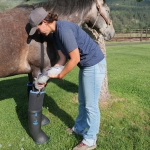 Easy Boot Remedy Ultimate