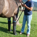 Easy Boot Remedy Ultimate