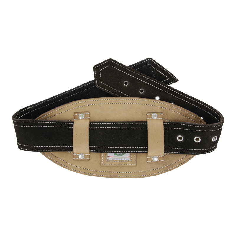 Ceinture dorsale