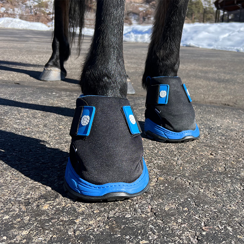 Easy Boot RX2 Therapy 