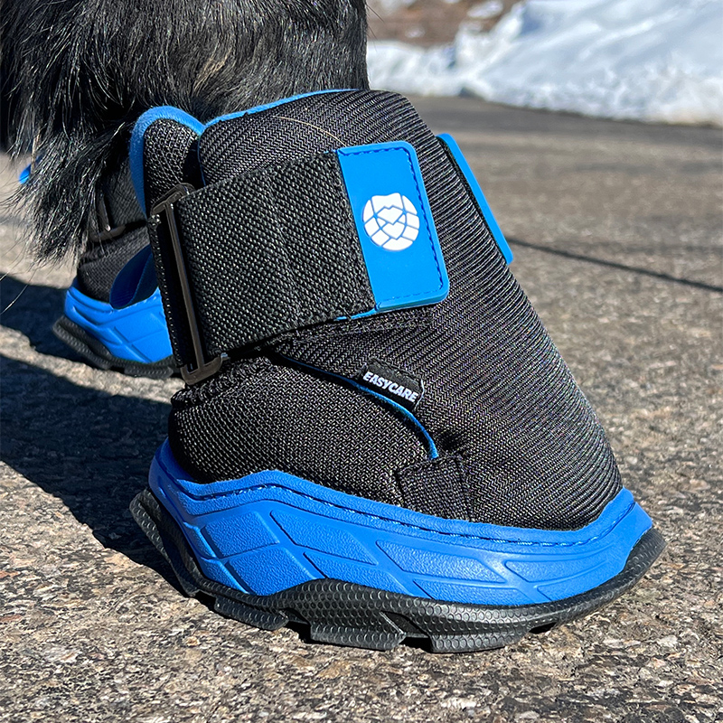 Easy Boot RX2 Therapy 