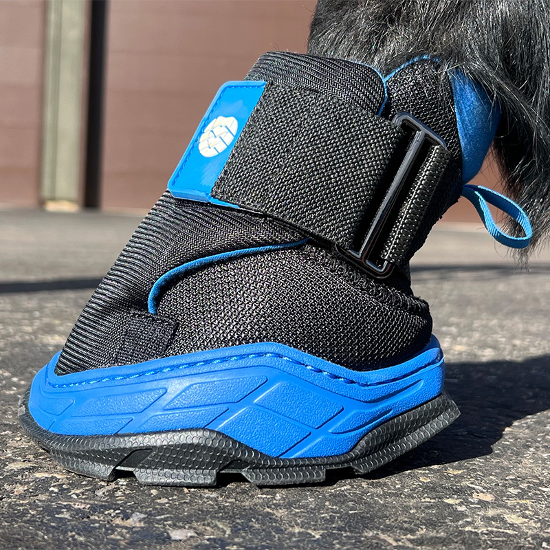 Easy Boot RX2 Therapy 