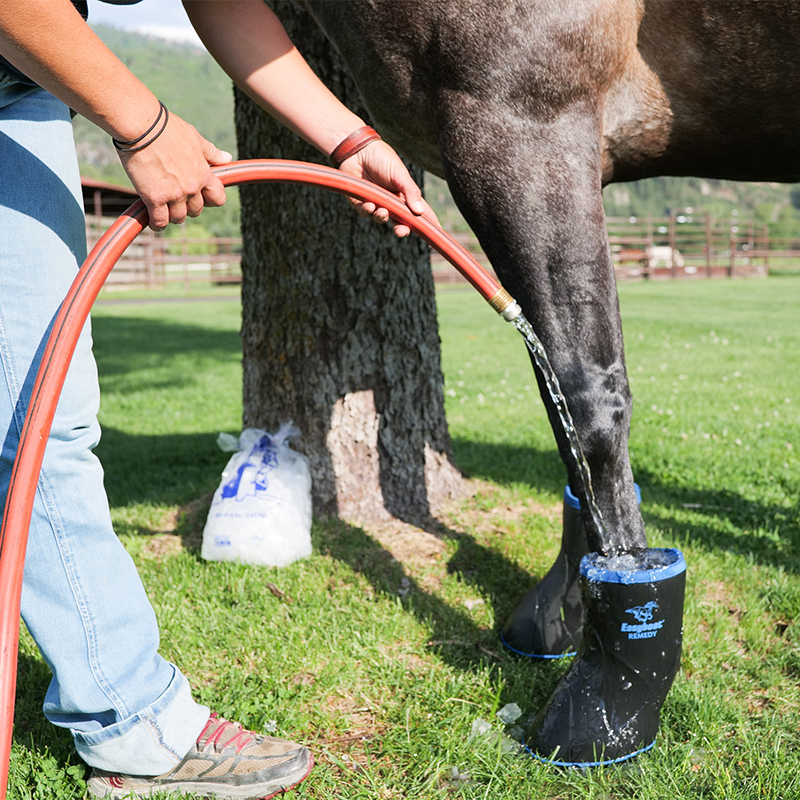 Easy Boot Remedy
