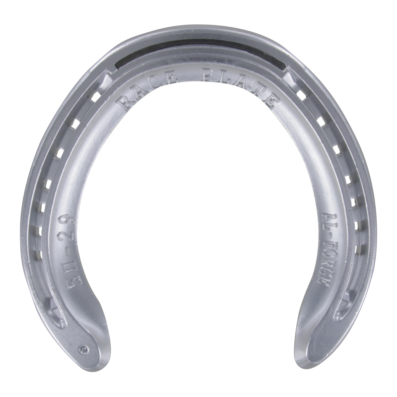  Fer alu Race plate postérieur 2 pinçons