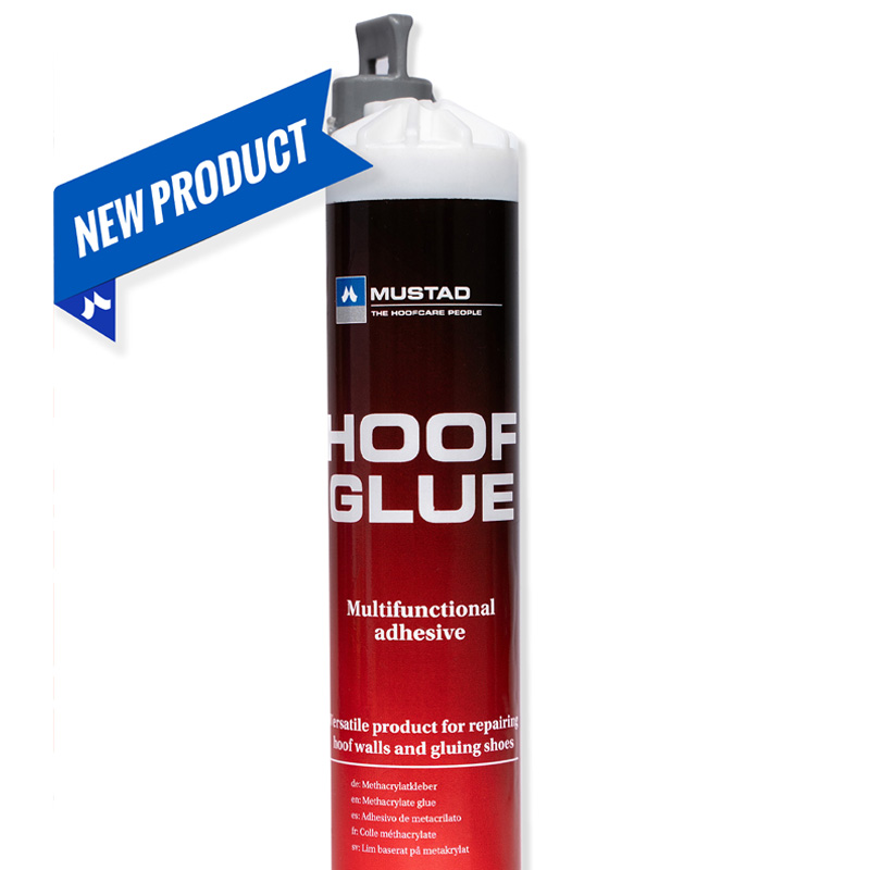 Hoof glue Comfort mix, pistolet et canule