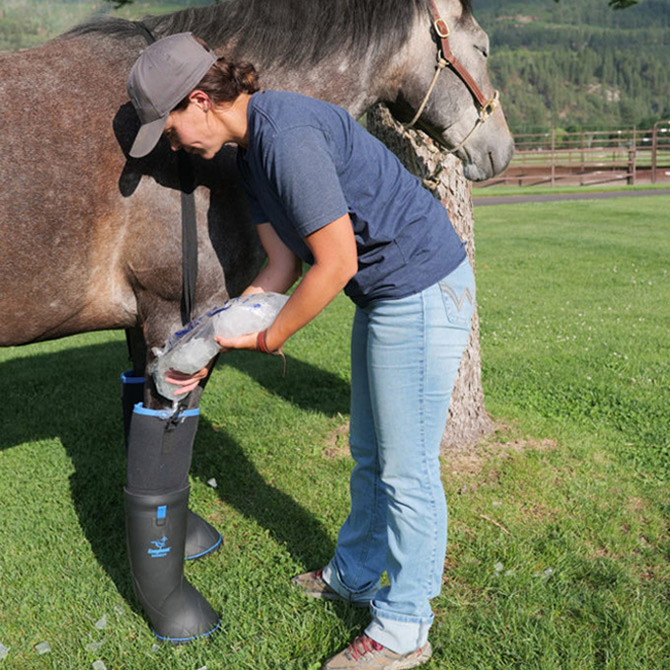 Easy Boot Remedy Ultimate