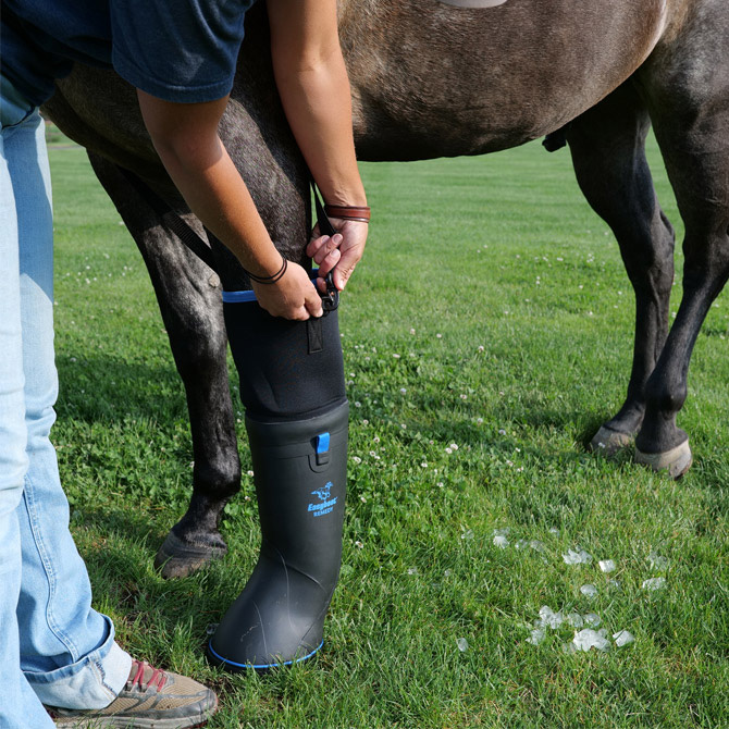 Easy Boot Remedy Ultimate