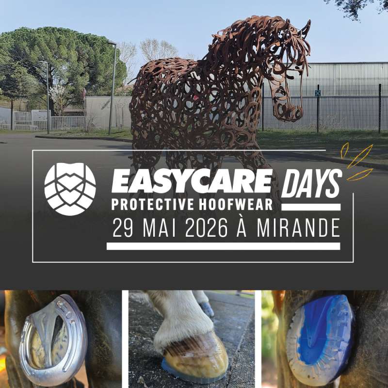 Journée EasyCare Days du 29 mai 2026 - Mirande