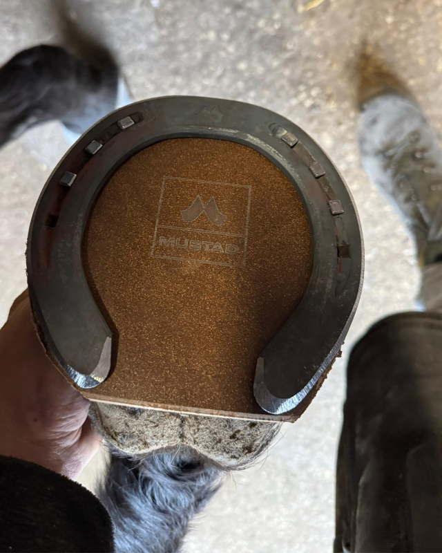 Plaque Mustad Natural plate