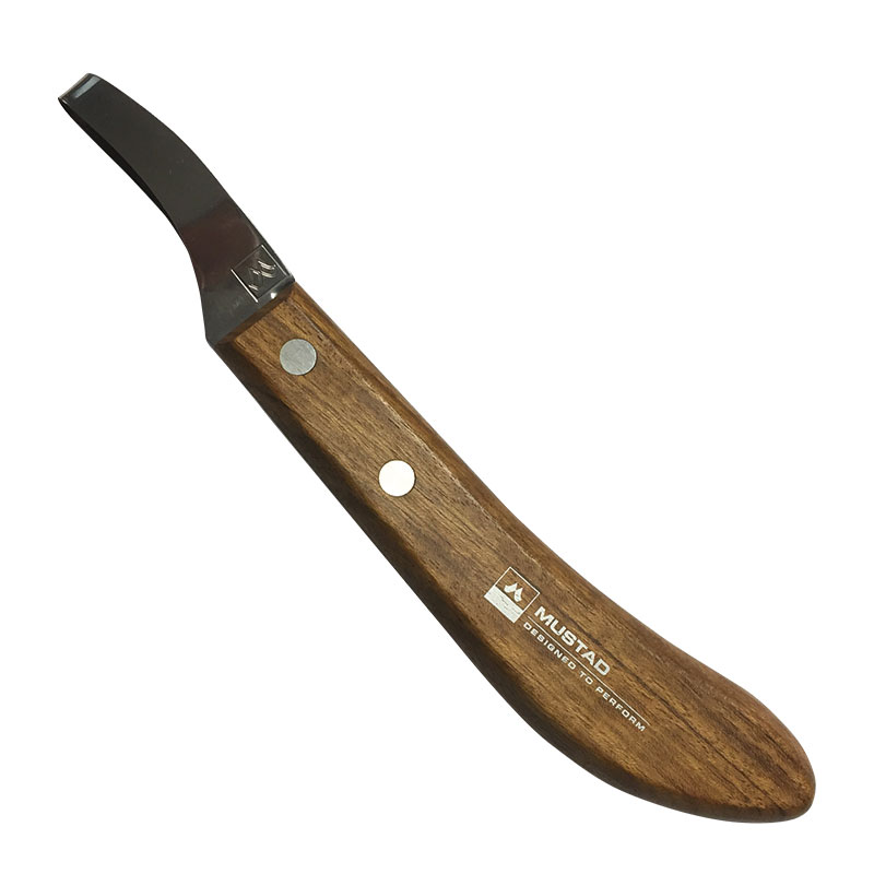 Rénette anneau premium