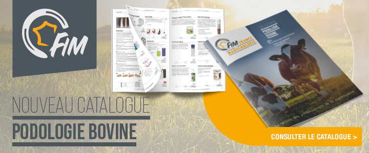 Catalogue podologie bovine