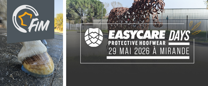 journée easycare mirande