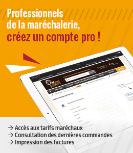 Catalogue du site